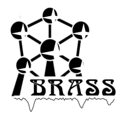 BRASS logo